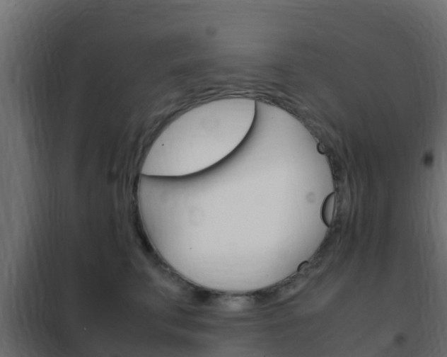 X0000102470711200808081010