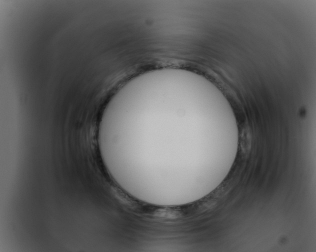 X0000102470714200808081009