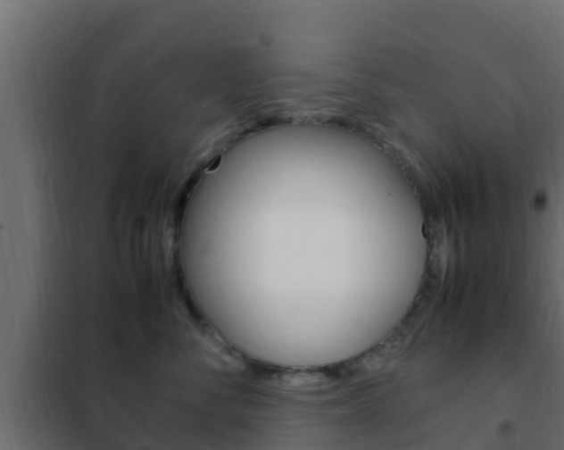 X0000102470716200808081009