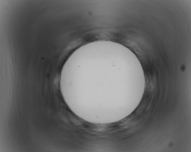 X0000102470717200808081009