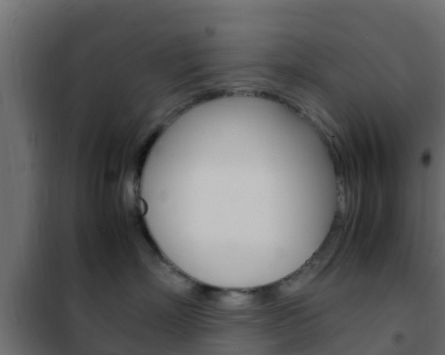 X0000102470718200808081009