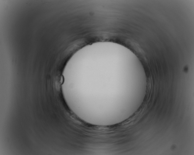 X0000102470719200808081009