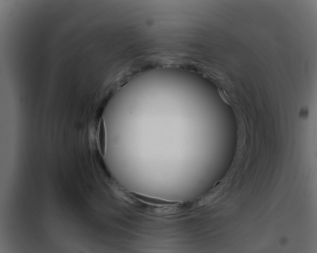 X0000102470720200808081009