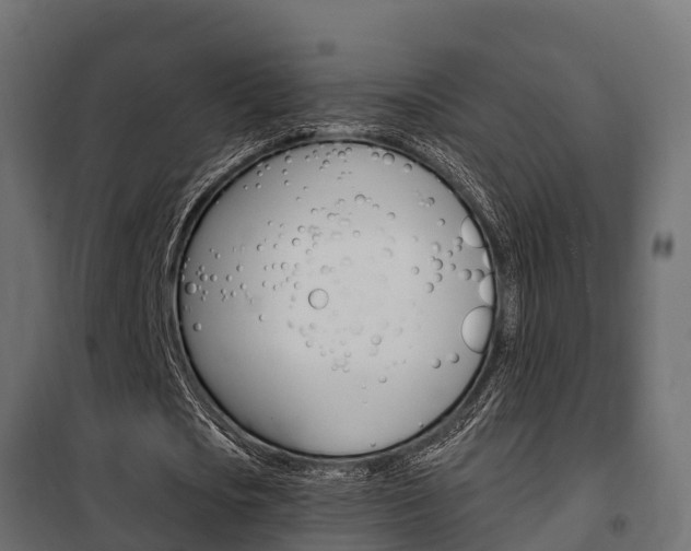 X0000102470721200808081009