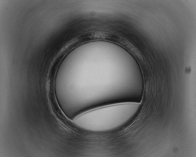 X0000102470722200808081009