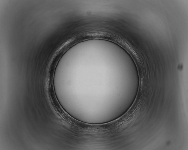 X0000102470724200808081009