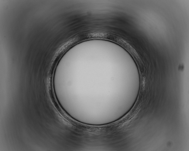 X0000102470725200808081009