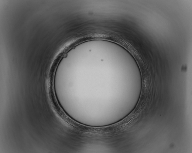 X0000102470726200808081009