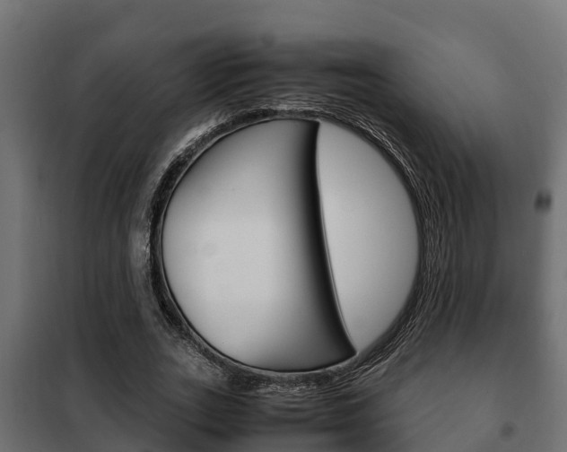 X0000102470727200808081009