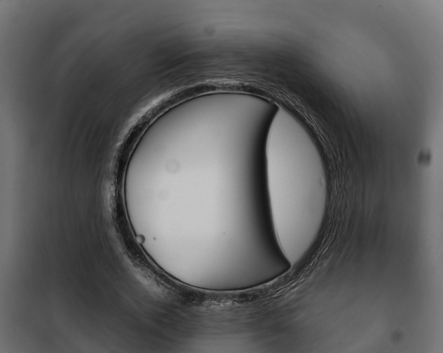 X0000102470728200808081009