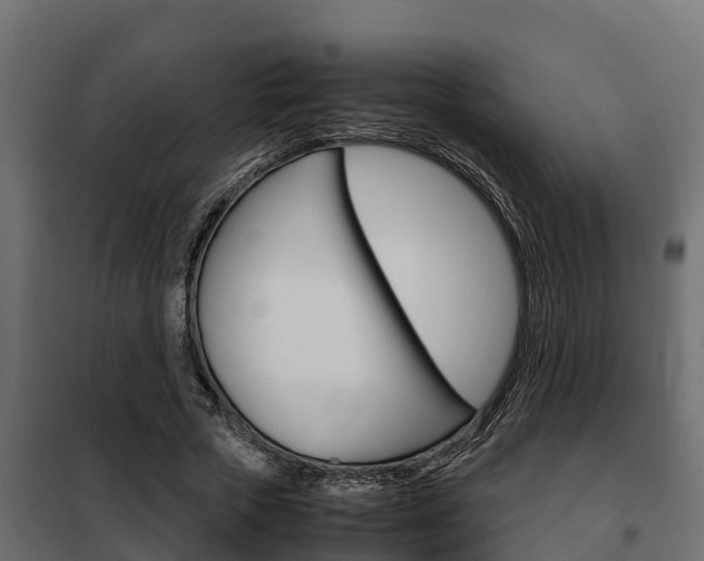 X0000102470729200808081009