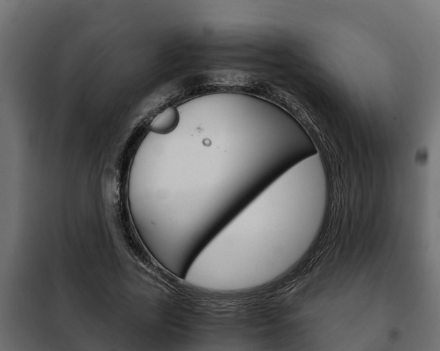 X0000102470731200808081009