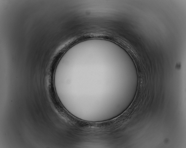 X0000102470732200808081009