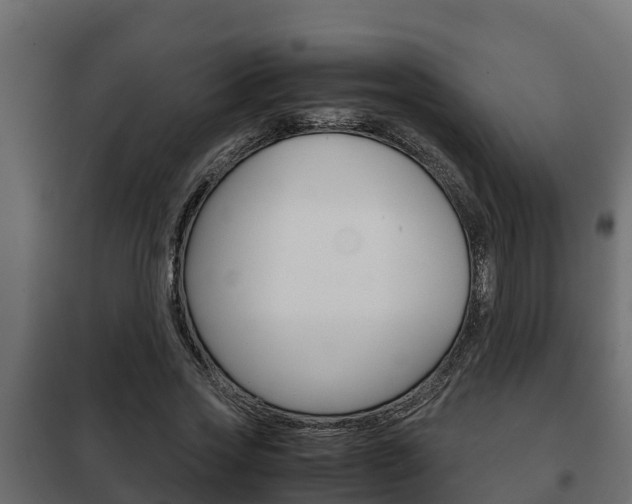 X0000102470733200808081009