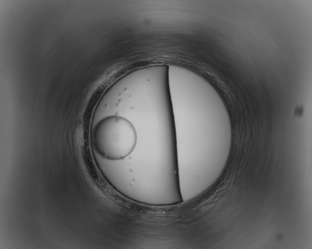 X0000102470734200808081009
