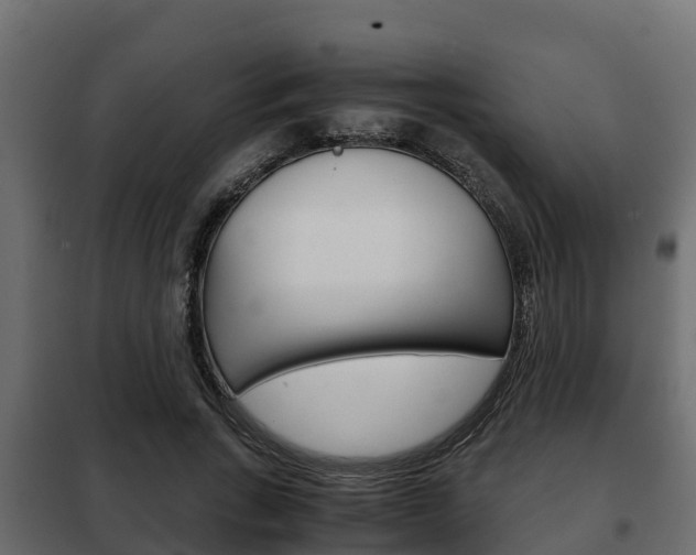 X0000102470735200808081009