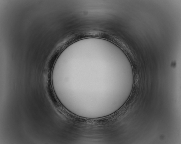 X0000102470736200808081009