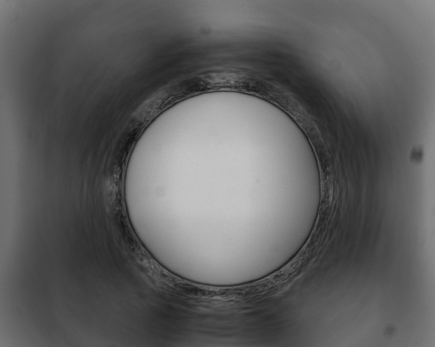 X0000102470737200808081009