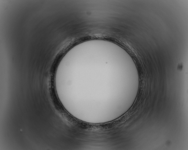 X0000102470738200808081009