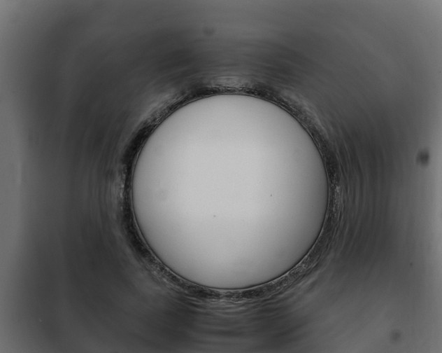 X0000102470739200808081009