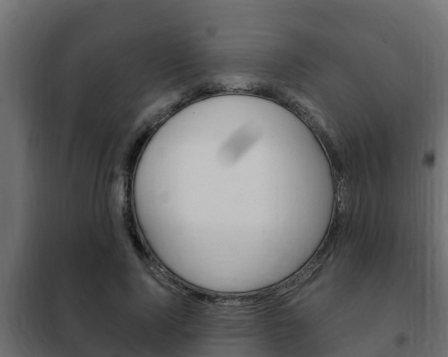X0000102470740200808081009