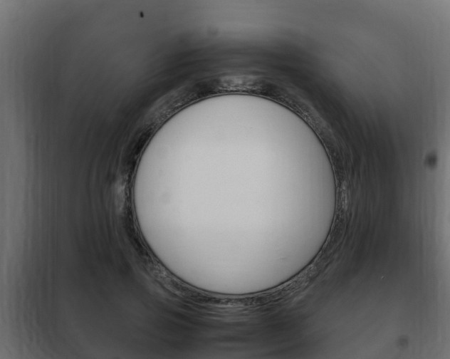 X0000102470741200808081009