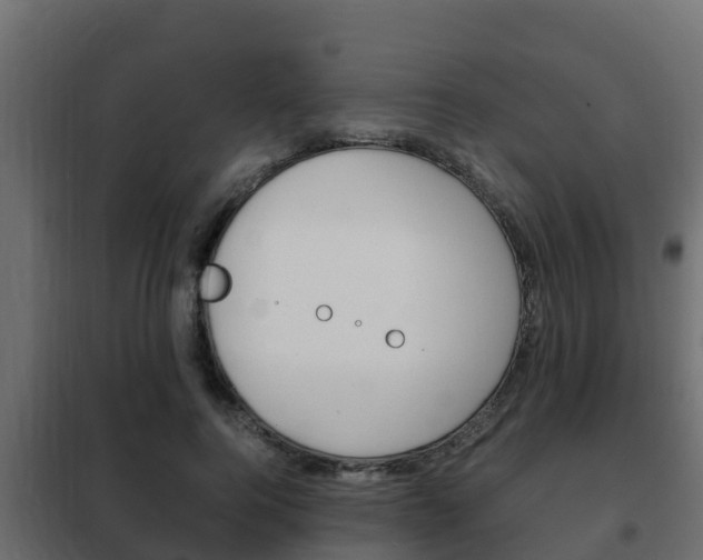 X0000102470744200808081009