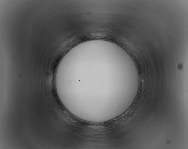 X0000102470745200808081009