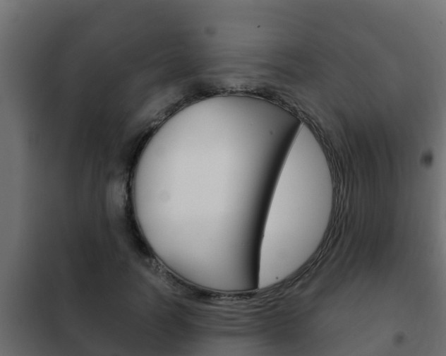 X0000102470746200808081009