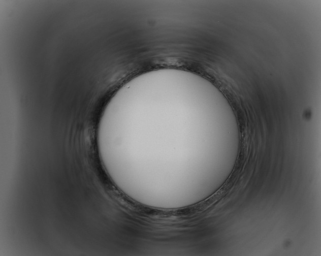 X0000102470747200808081009