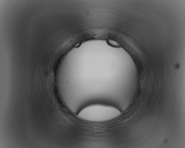 X0000102470748200808081009