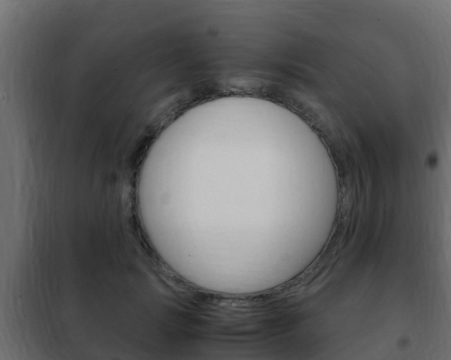 X0000102470749200808081009