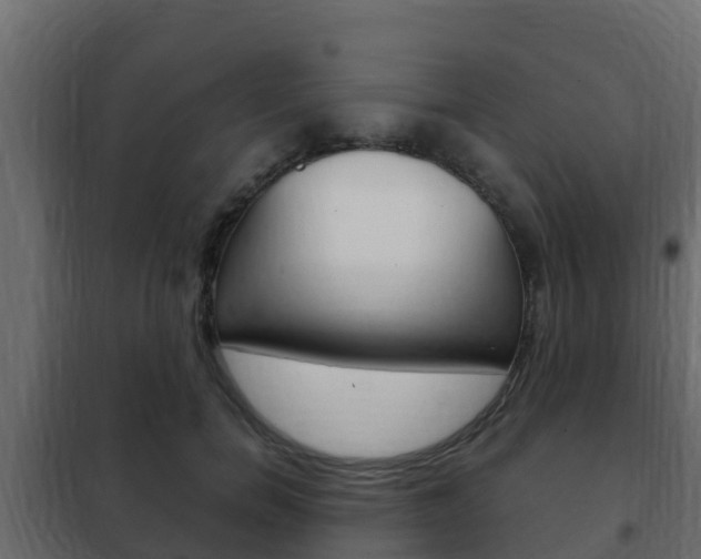 X0000102470750200808081009