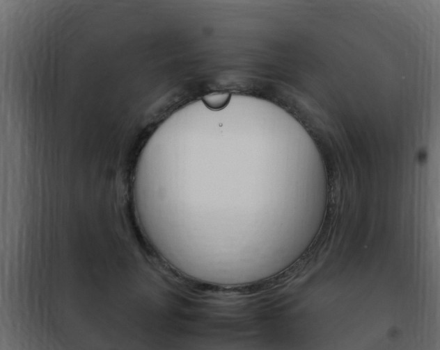 X0000102470751200808081009
