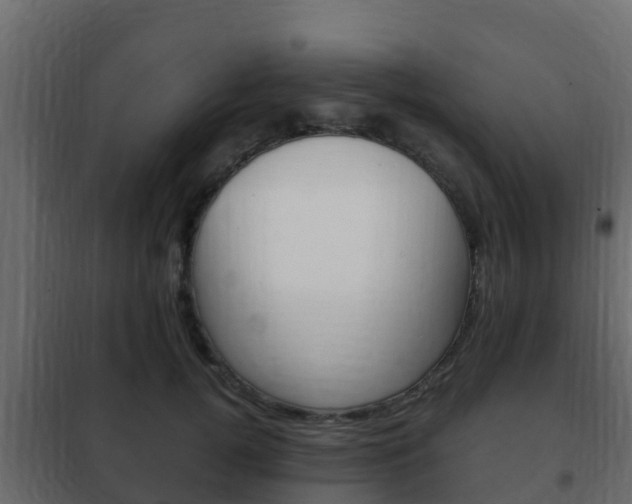 X0000102470752200808081009