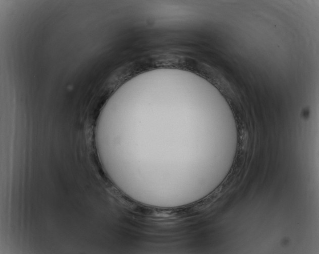 X0000102470753200808081009