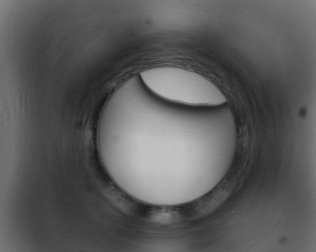 X0000102470754200808081009