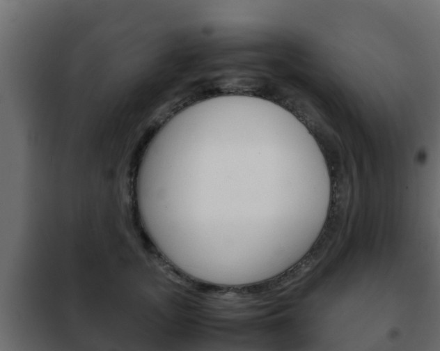 X0000102470755200808081009