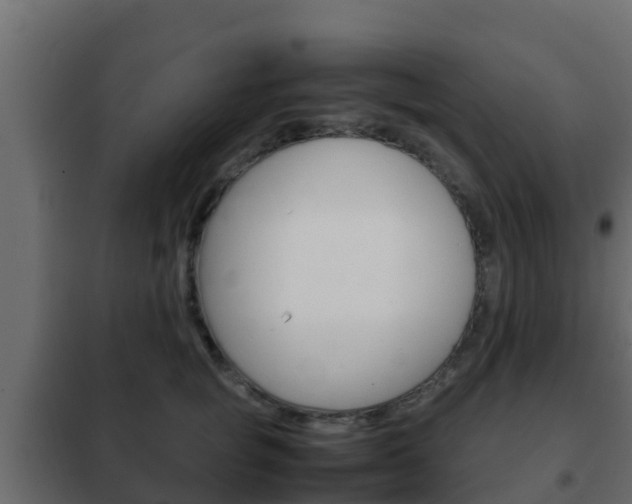 X0000102470757200808081009