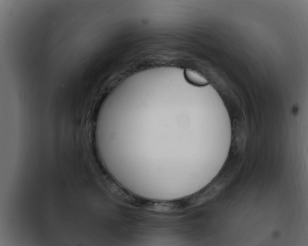 X0000102470758200808081009
