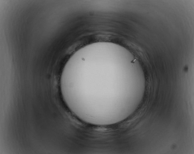 X0000102470759200808081009