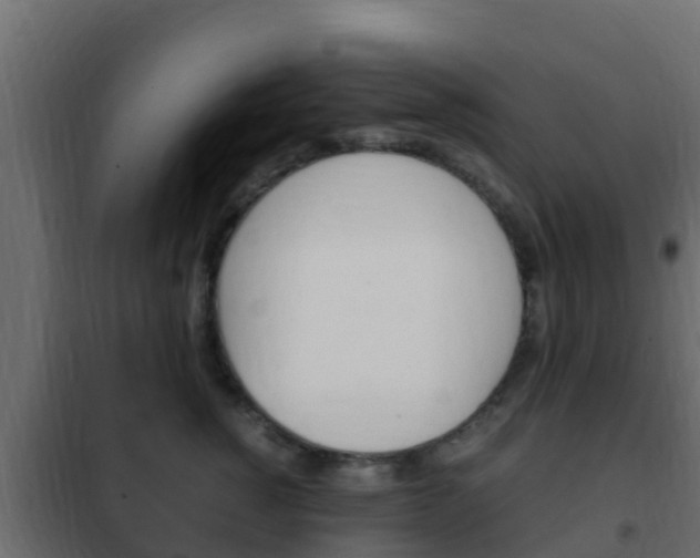X0000102470760200808081009