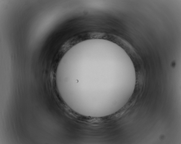 X0000102470761200808081009