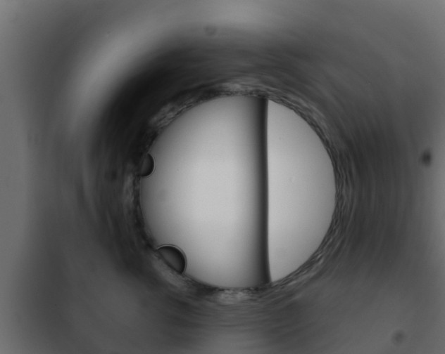 X0000102470762200808081009