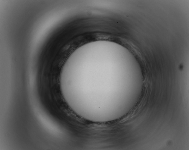 X0000102470763200808081009