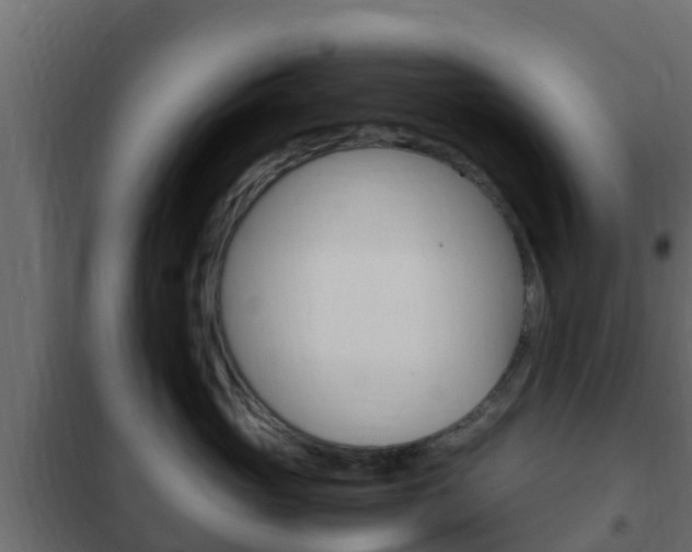 X0000102470765200808081009