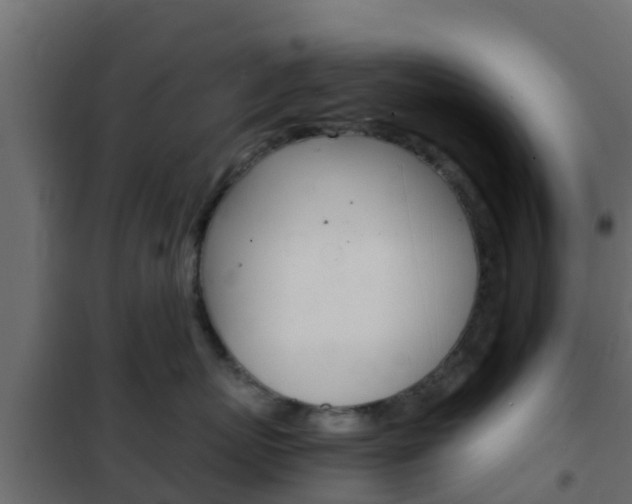 X0000102470767200808081009