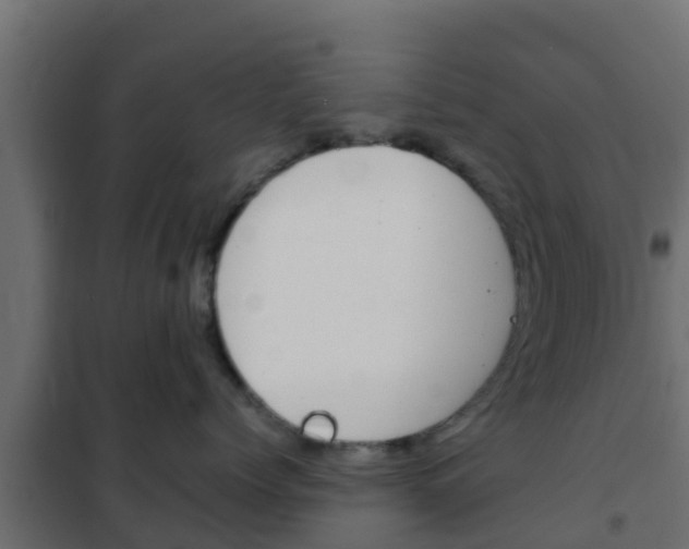 X0000102470768200808081009