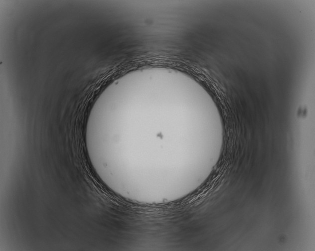 X0000102470769200808081009