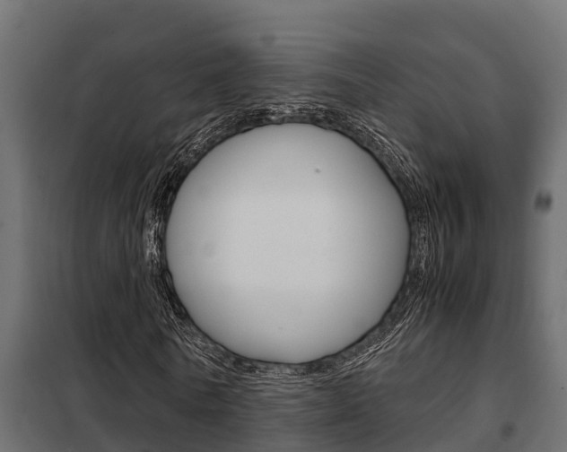 X0000102470770200808081009